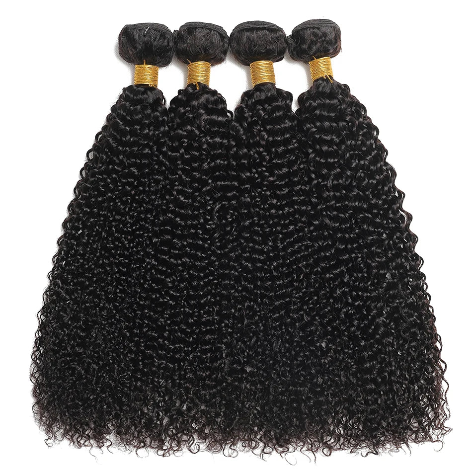 Indian Afro Kinky Curly Human Hair Extensions