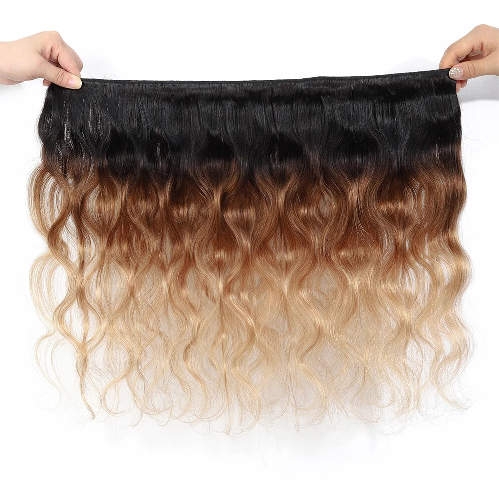 Brazilian Body Wave Ombre Human Bundles With HD Lace Frontal Closure